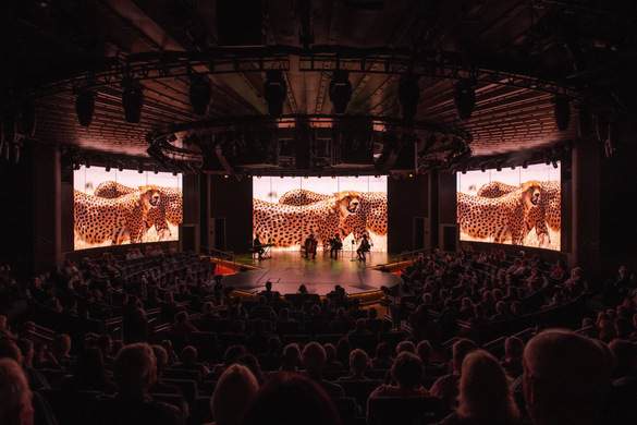 Holland America Line, Koningsdam, World Stage BBC Earth, Enrichment 0.jpg